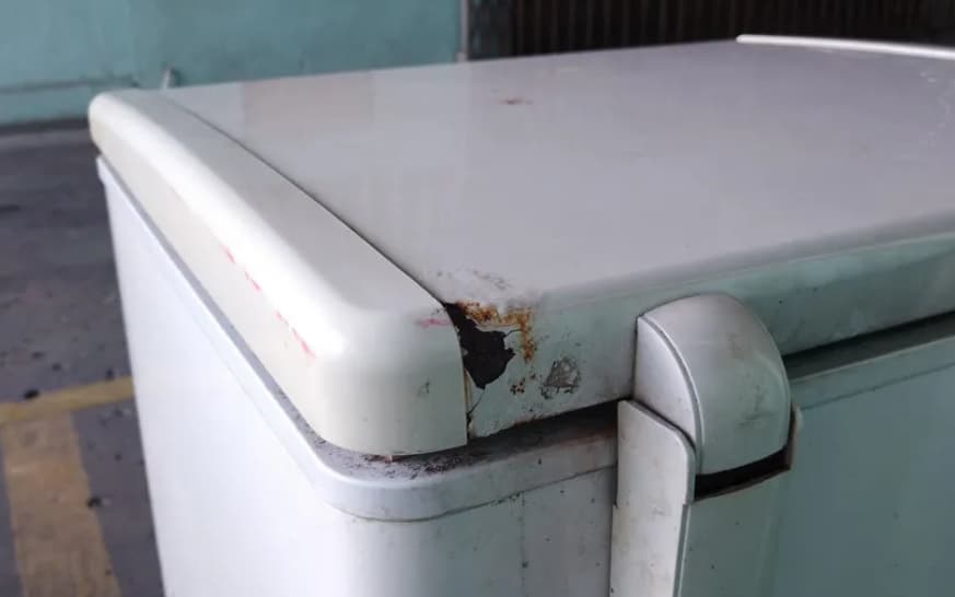 Жена во замрзнувач криела 100 мртви мачки, полицајците шокирани(ФОТО)