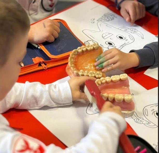 Герасимовски: Бесплатни стоматолошки прегледи за децата и пензионерите – континуирана грижа за здрави насмевки