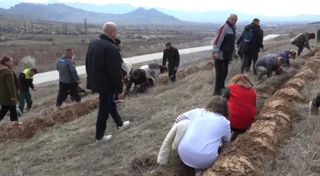 На денот на пролетта во комплексот Маркови Кули кај Прилеп засадени 6 000 садници