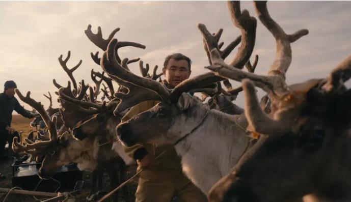 „Мамутите“, новиот документарец на Котевска, меѓу добитниците на Sandbox Fund на Sundance Institute за 2026