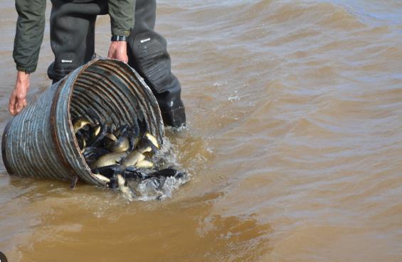 Меморандум за соработка во пресрет на Светското првенство во риболов на крап во Маврово