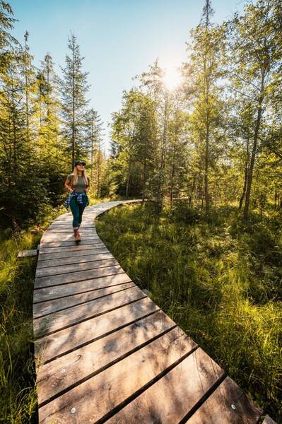 Климатските промени и здравјето: Нова студија открива загрижувачки трендови