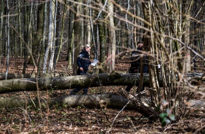 Тројца загинати од урнато дрво во шума во северна Германија