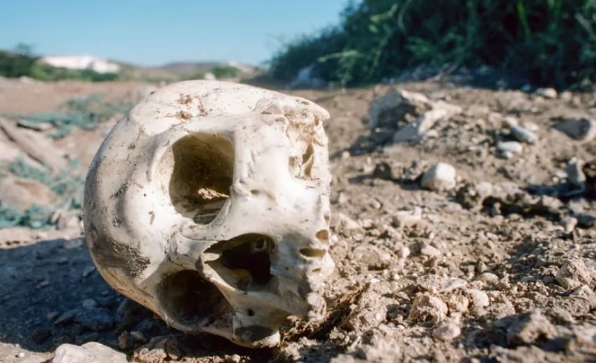 Ужас во парк во Калифорнија: Барале велигденски јајца, пронашле човечки череп (ВИДЕО)