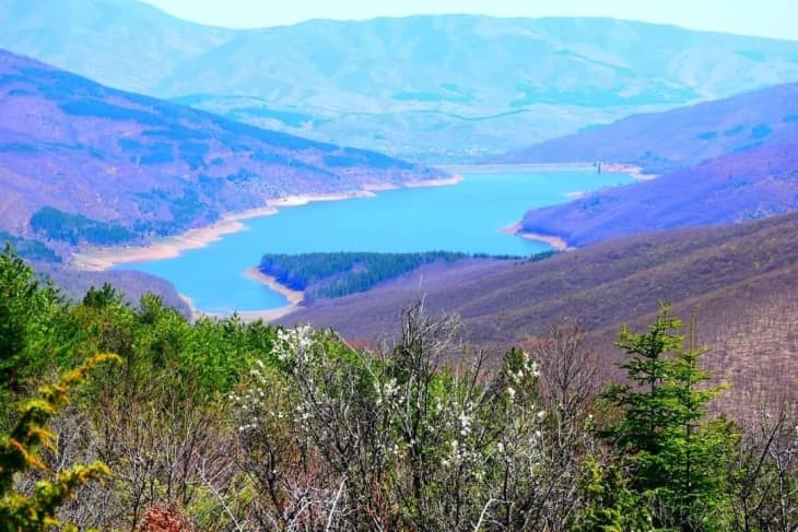 Времена забрана за лов на сом во акумулацијата „Стрежево“