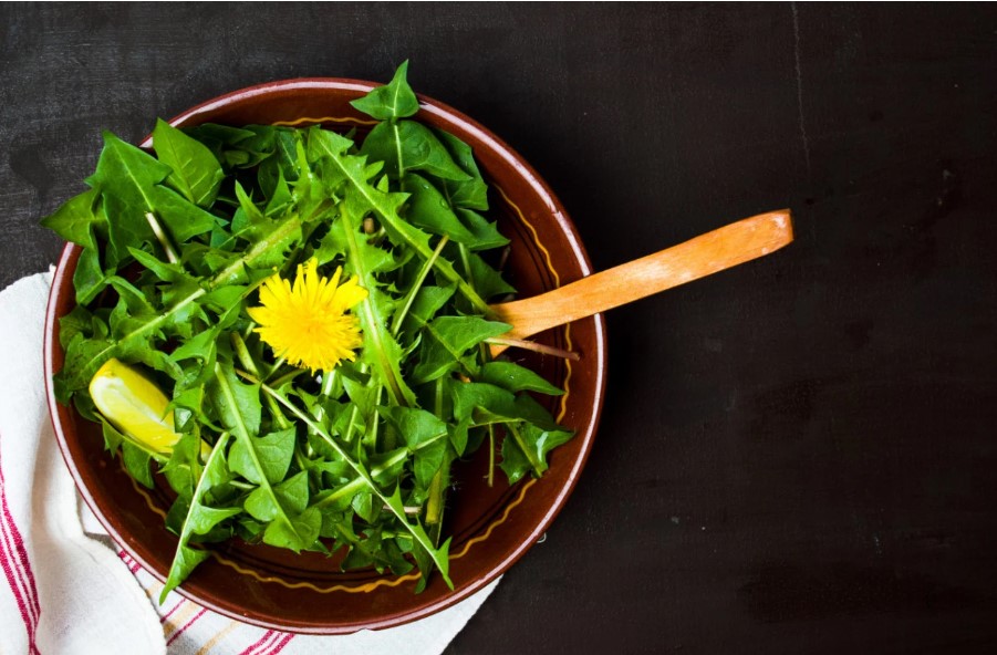 Берете глуварче, нема да се покаете: Чудесна салата која го чисти телото и го зајакнува имунитетот