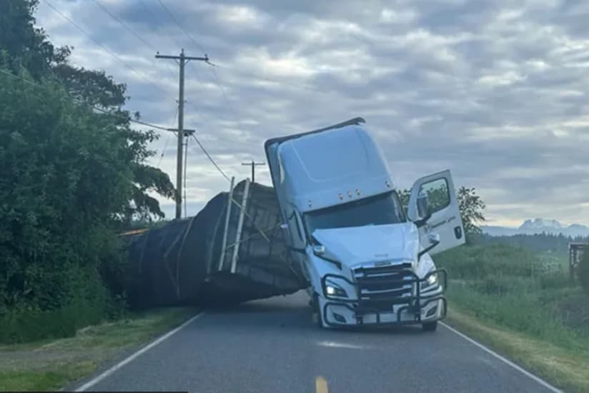 Шлепер полн со пчели се преврте на автопат- коментарите се неочекувани (ВИДЕО)