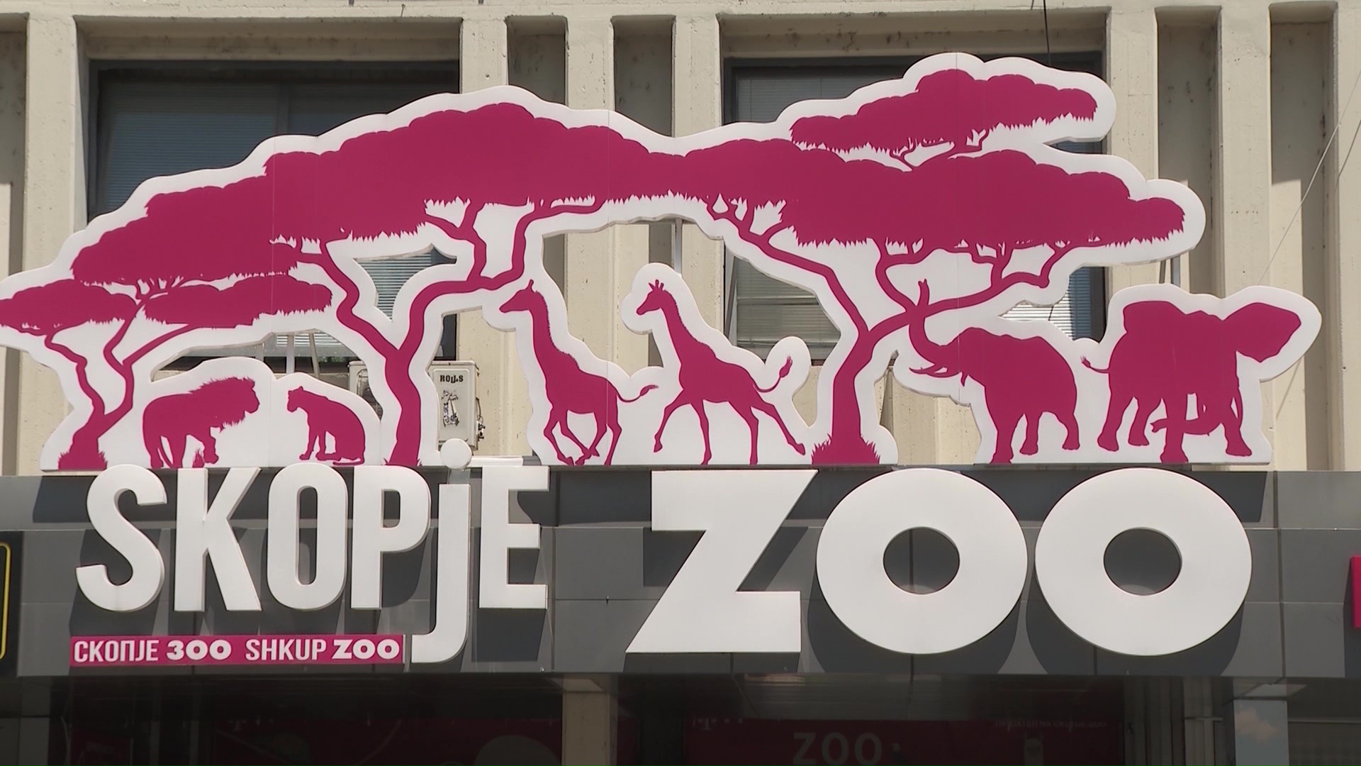 Јубилеј на скопската ЗОО - одбележува 100 години од постоењето