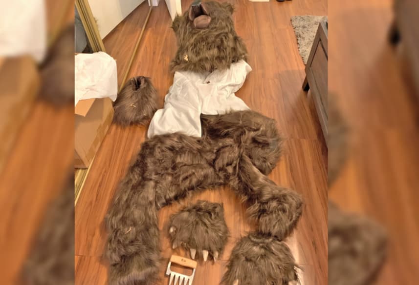 Неверојатна измама во Калифорнија- користеле маска на мечка за да наплатат отштета од осигурувањето (ВИДЕО)