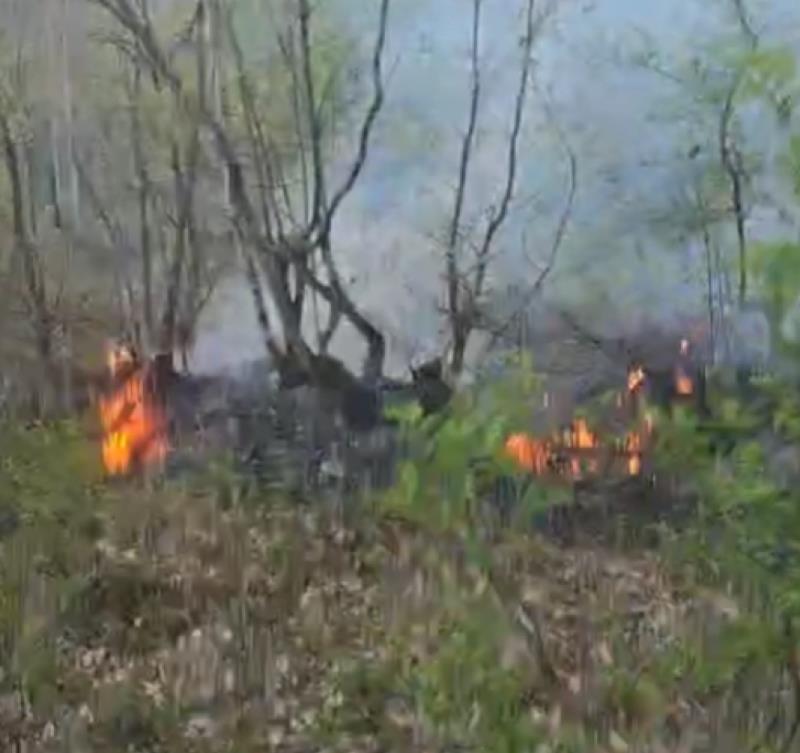 Пожар кај Глажња во Липково, екипите и денеска на терен