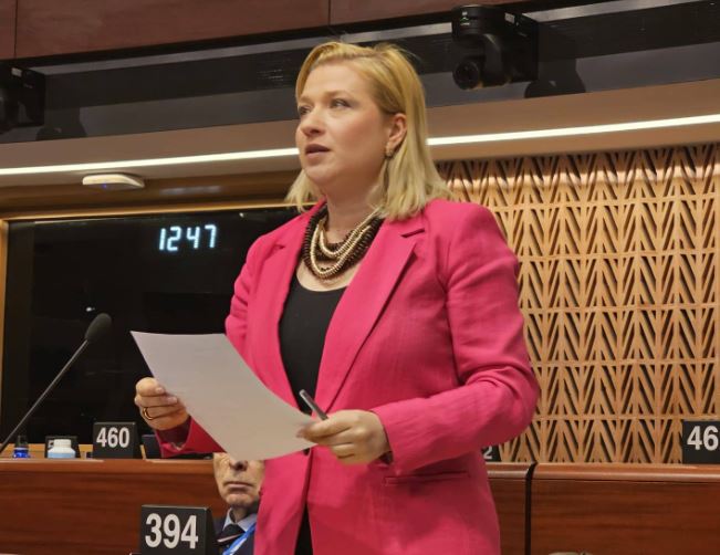 Василевска : Дали Советот на Европа ќе реагира, и со кои конкретни механизми ќе постапи во случајот со адвокатот Менкиноски