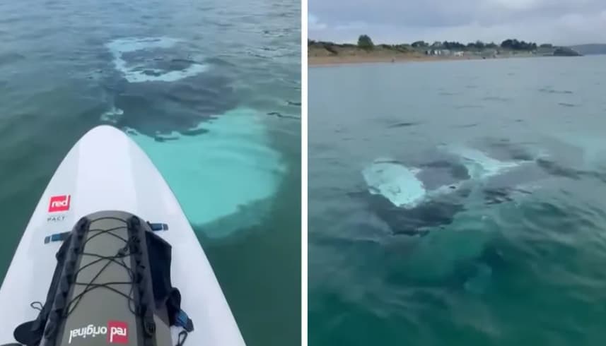 Уживала на море, кога здогледала чудо од 90.000 евра (ВИДЕО)
