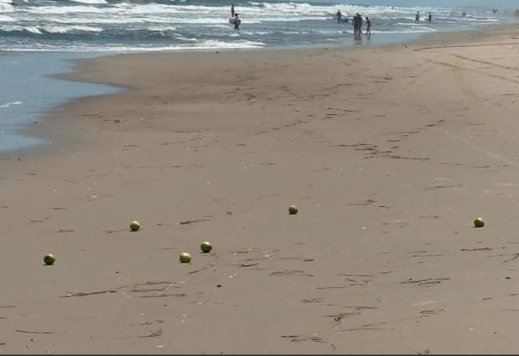 Мистериозни јаболка се појавија на плажа во САД