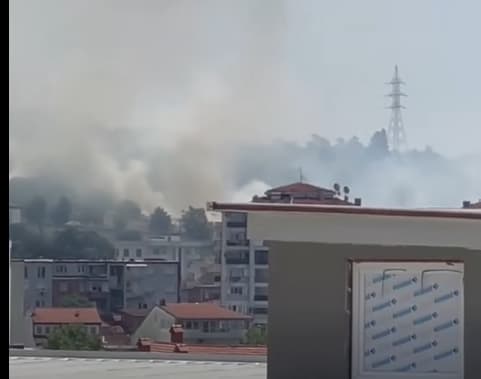 Голем пожар во парк шумата Гази Баба (ВИДЕО)