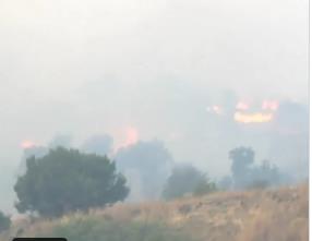 Тројца пожарникари загинаа во пожарите кои беснеат во Грција, најкритично на Крит и Пелопонез, евакуирани туристи