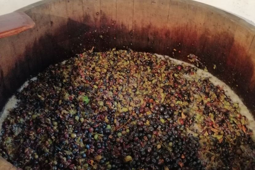 Македонец загина за време на гроздобер во Италија, пропаднал во буре 
