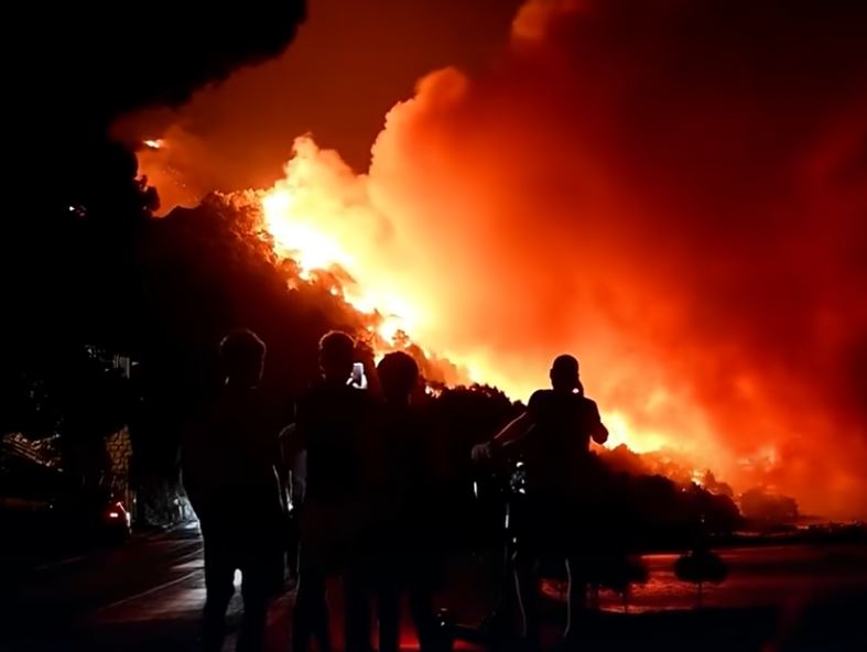 Годинава во Европа изгореа 700.000 хектари, ЕУ најави обединување на пожарникарите