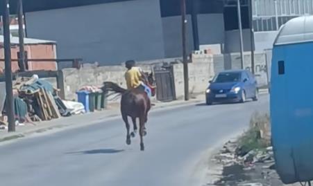 Скопје или див запад? (ВИДЕО)