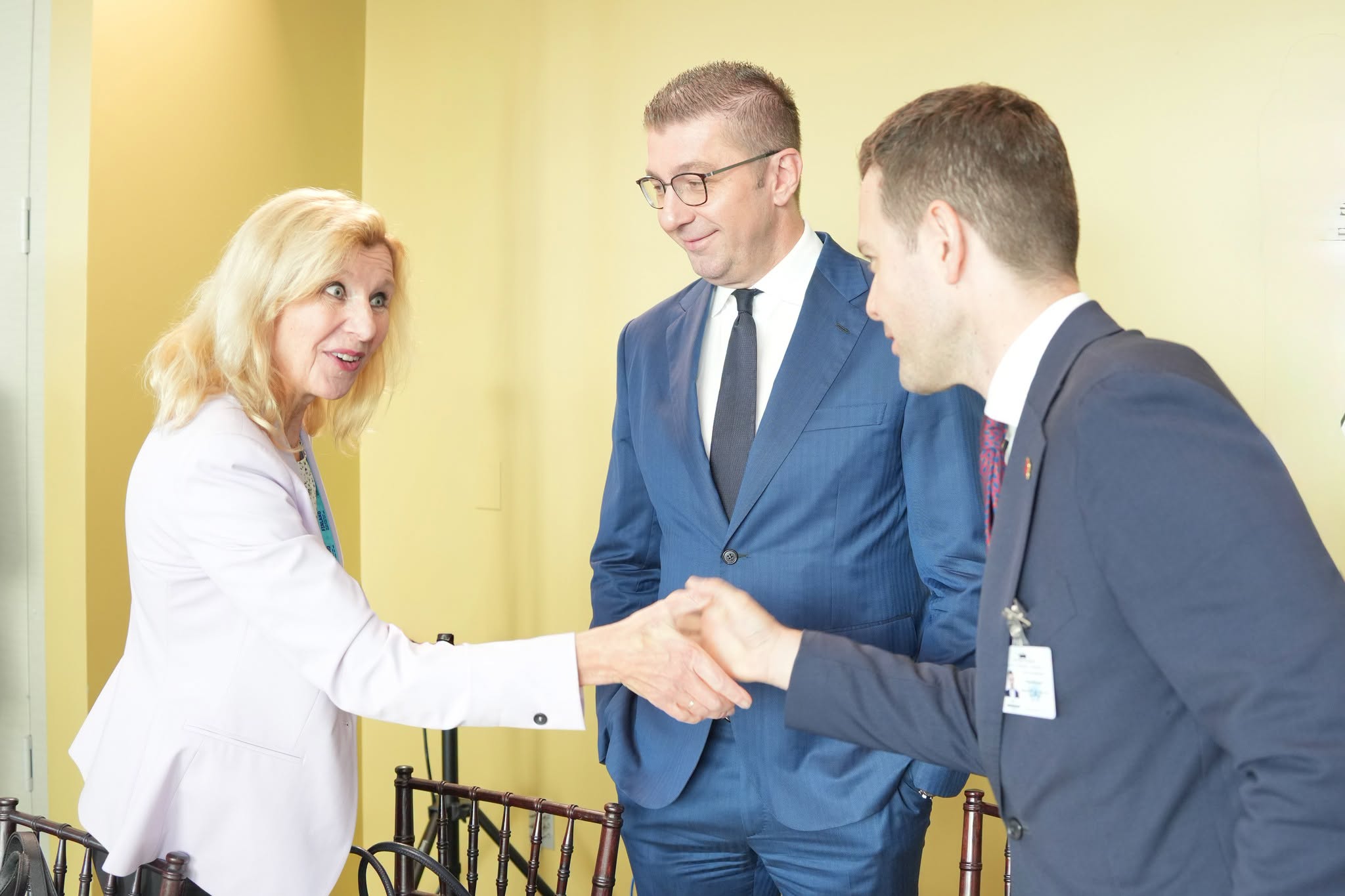 Мицкоски во Њујорк на панел, чиј домаќин беше финскиот претседател
