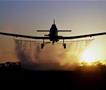 Куманово избира економски оператор за авионско прскање против комарци