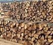 МЖСПП ги проверува информациите дека кубен метар дрва се продава за 50 % повисока цена 
