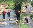 Надојдена река „проголта“ верници среде крштевање во ЈАР, најмалку деветмина загинати 