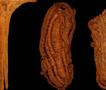 Во пештера во Шпанија се пронајдени најстарите чевли во Европа (ВИДЕО)