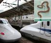 Змија во воз предизвика хаос и застој на железницата во Токио, не успеале да ја фатат 