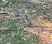 Општина Карпош става „репелент“ за заштита, откако се појави змија во паркот кај Веро 2