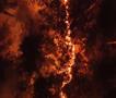 24 лица загинаа во големи шумски пожари во Јужна Кореја