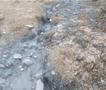 МЖСПП: 200 илјади евра казна за БУЛМАК поради истекување технолошка вода 