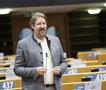 Томас Вајц: „Денес го усвоивме првиот извештај за Македонија од 2022 година во Комитетот за надворешни работи