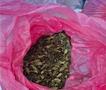 На аеродромот во Атина откриени 500 килограми дрога Кат во вредност од 1,5 милиони евра