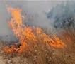 ЦУК: 21 пожар на отворен простор, седум активни, 13 изгаснати