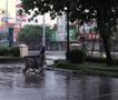 Тајфунот Каџики го погоди Виетнам