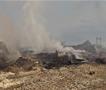 Видео: Пожарот во Трубарево ставен под целосна контрола 
