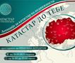 Почнува кампањата „Катастар до тебе“