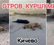 Анима Мунди: Отров и куршуми на улиците на Кичево – ќе се јави ли Фатмир Дехари?