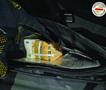 Спречен обид за нелегално изнесување поголема сума девизи