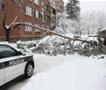 Дрво под тежина на снегот падна во Сараево и уби мајка на две деца