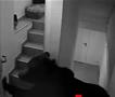 Мечка си отвори врати и слободно се прошета низ хотел во Романија-  гостите и вработените во паника (ВИДЕО)
