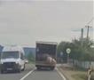 Видео: Овци паѓаат и скокаат од камион на пат во Србија 