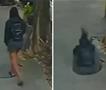 Девојка гледа во телефон, кога наеднаш пропаѓа во шахта (Вознемирувачко видео) 