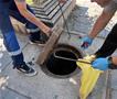 Општина Ѓорче Петров спроведува дератизација и дезинсекција за заштита на јавното здравје