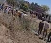 Хорор во Египет: Девет деца загинаа кога минибус падна во канал (ВИДЕО)