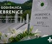 СДА: Секој ден се сеќаваме, еден ден не забораваме - 31-година од геноцидот во Сребреница
