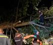 Фото: Синоќа невреме го погоди Стар Дојран, паднати дрвја, оштетени игралиша... 