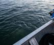 Трагедија во Италија; Сопругот на министерката пронајден мртов 