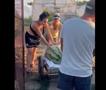 Видео: Чудо во Унгарија: Лубеница тешка 84 килограми