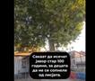 Директорката на ООУ Кочо Рацин Прилеп за сигурност на децата сака да пресече дрво старо над 100 години 